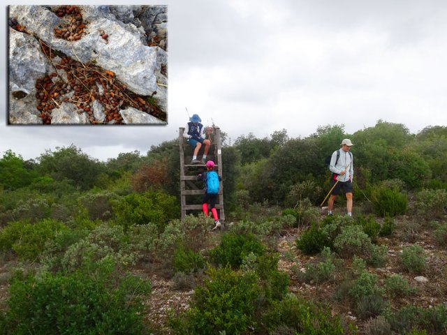 Fin de la descente lorsque l'on arrive aux tours de gué des chasseurs