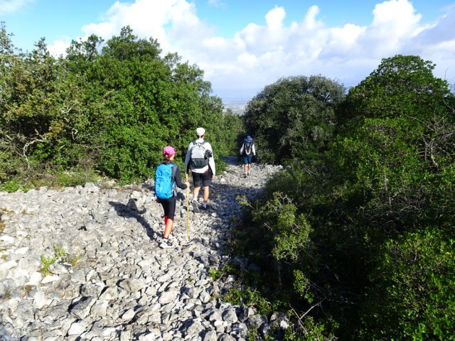 Le GR36 est un long pierrier calcaire qui malmène un peu les chevilles