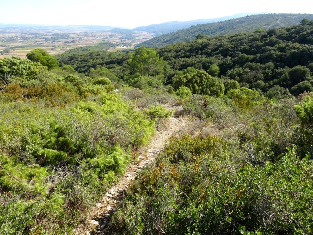 La fin du sentier descend vers la vallée du Ruisseau de Blanquier