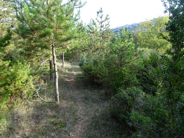 Le petit sentier descendant au Prieuré de St-Jean