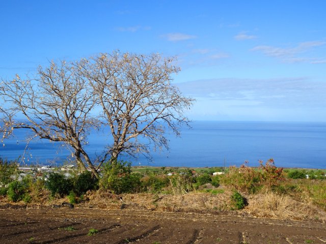Et toujours le bleu à l'horizon