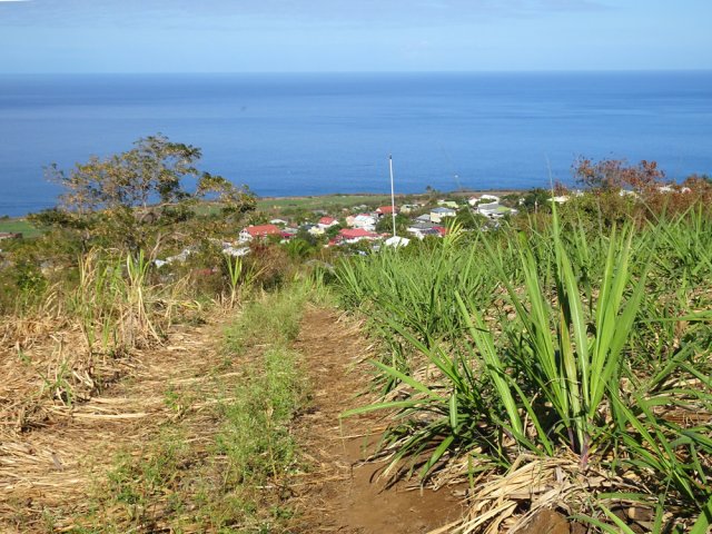 Dernier chemin avant l'arrivée au village