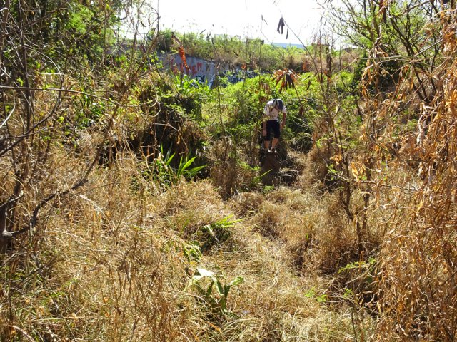 Les derniers 30 m entre piste et route des Tamarins en longeant la Ravine du Portail