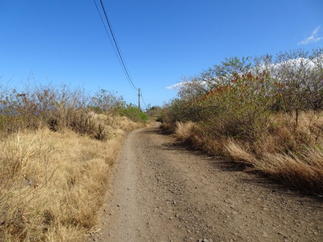 La zone devient désertique par endroits