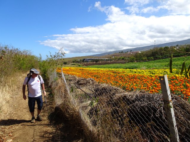 Les belles couleurs égayent le parcours