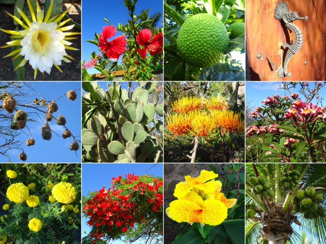 Il y a toujours quelque chose à découvrir