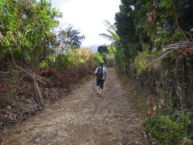 Début de la longue traversée des champs de Maduran