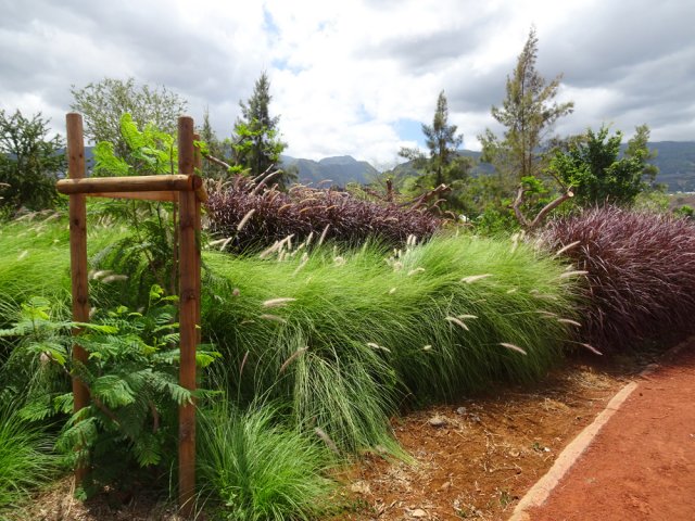 Certaines parties sont très fournies en végétation