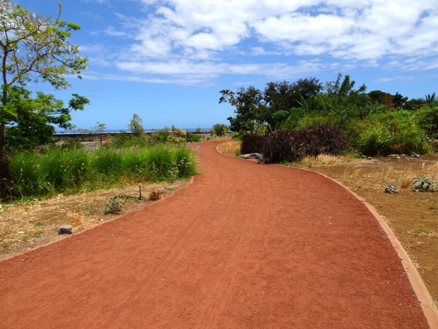 La piste sur le chemin du retour
