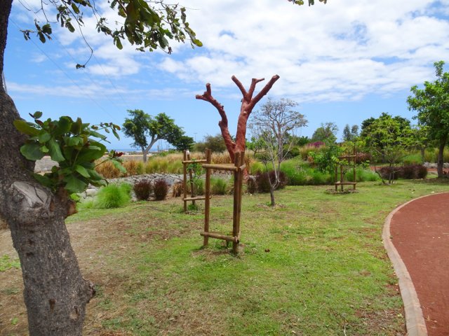Retour à l'arbre mort