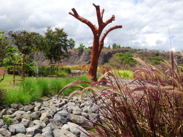 Les arbres morts sont souvent très décoratifs