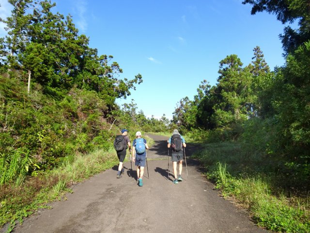 Courte portion de route forestière pour atteindre le point de départ
