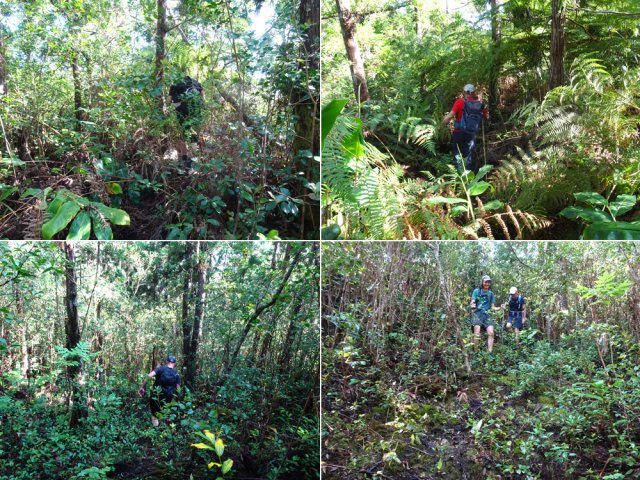 Sentier toujours visible malgré la végétation parfois touffue
