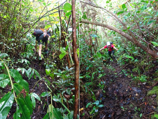La remontée du rempart est encore plus pentue que la précédente descente menant à la cascade