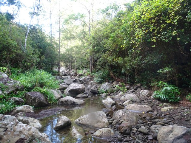 Traversée du Grand Bras entre la Cascade Maniquet et la Cascade Chinois