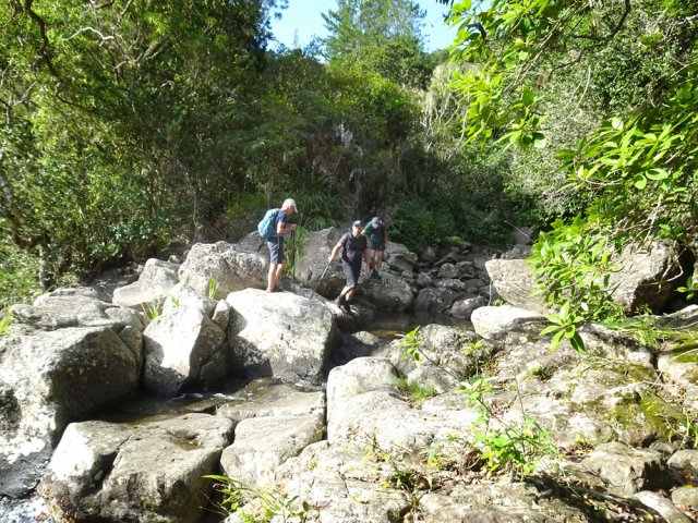Remontée du Grand Bras jusqu'au sentier pris à l'aller