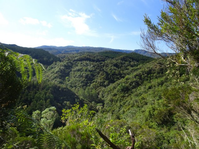 Une fois sur le rein, on bénéficie de beaux points de vue vers la Roche Écrite