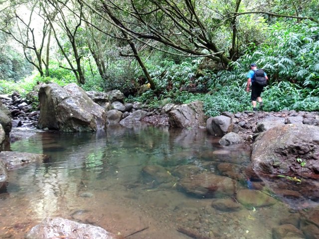 Entamer la remontée de la ravine à la recherche de la cascade suivante