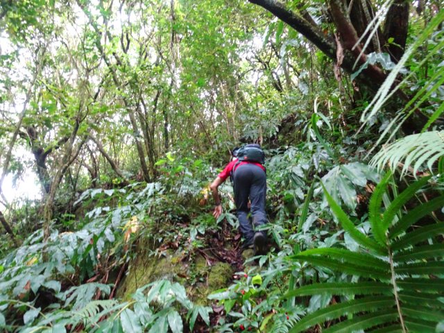 La pente est tout d'abord très forte et glissante