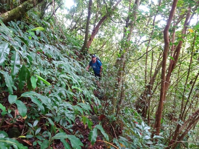 La pente cesse et le sentier descend calmement vers la rivière