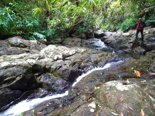 La remontée longe quelques toboggans faciles à contourner
