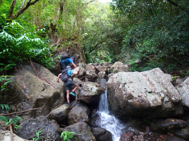 Les escalades sont rares et assez faciles