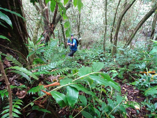 Un long câble électrique facilite l'ascension