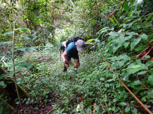 Le fil d'Ariane en acier facilite grandement la grimpée