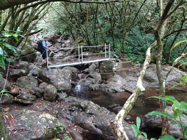 Une petite passerelle franchit la ravine en haut de la chute