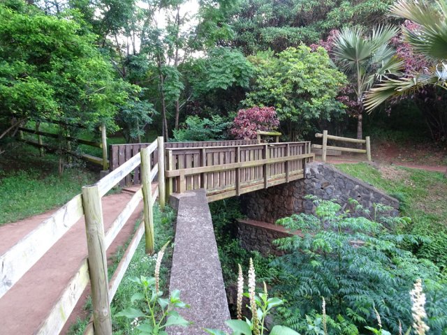 Premier franchissement de la petite ravine à sec