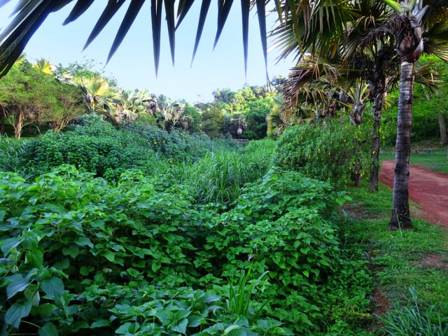 On la longe ensuite vers l'aval