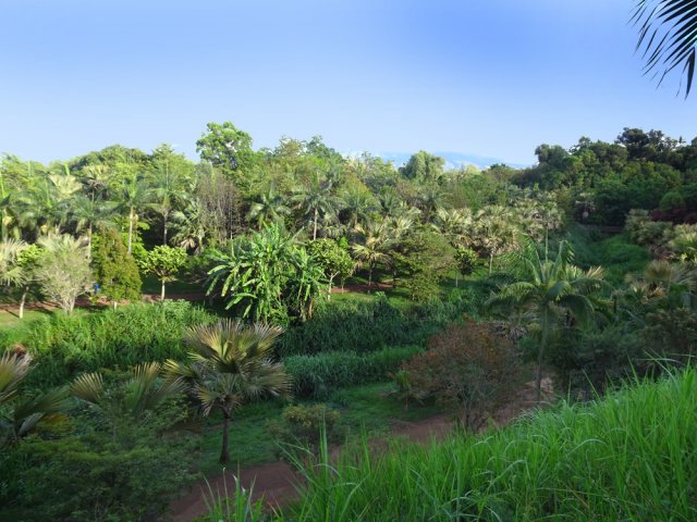 Près des stades, on domine une bonne partie du parc