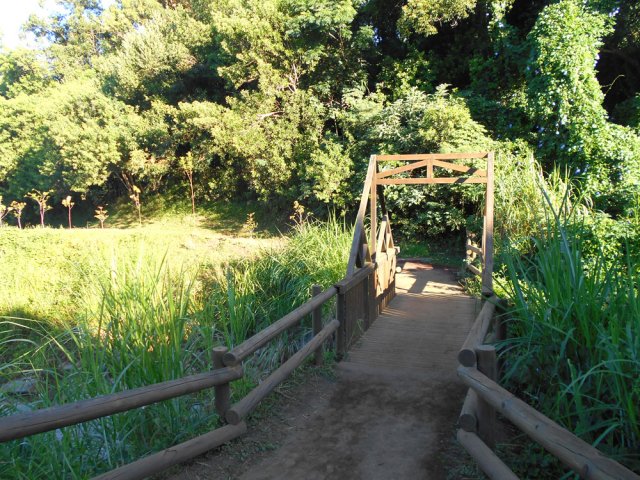 Une autre passerelle annonce le retour au cœur du parc