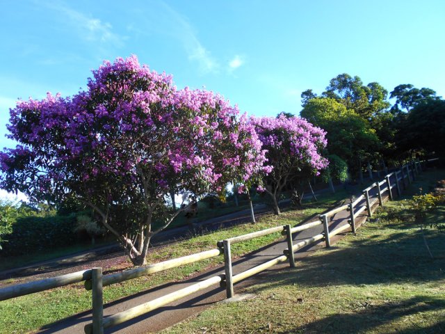 La dernière pente demande un petit effort