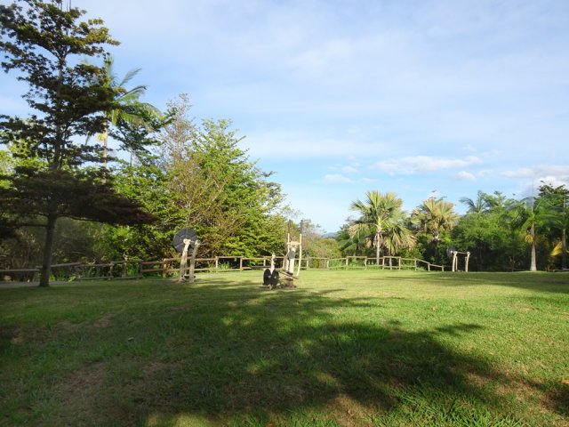 Quelques équipements d'entraînement regroupés sur une pelouse