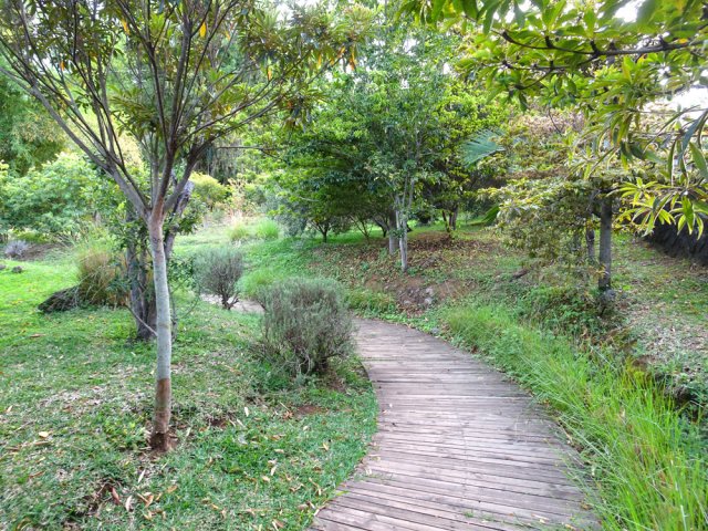 Le parc Marc Rivière débute par un caillebotis facultatif