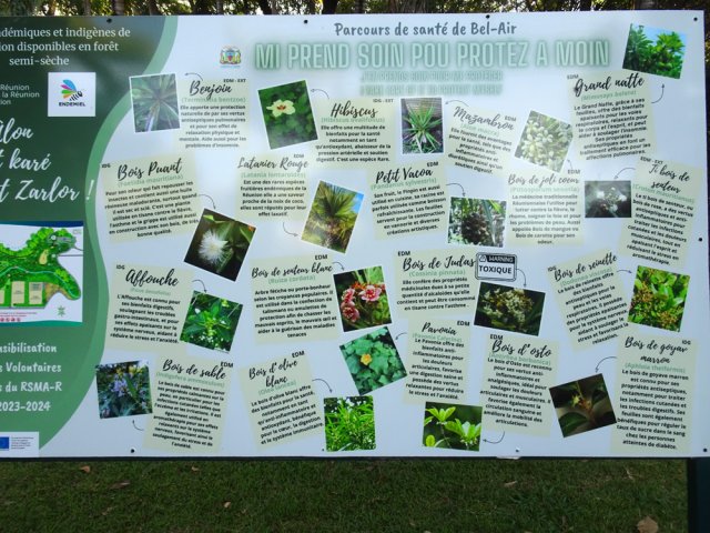 Un autre précise les essences plantées dans le parc