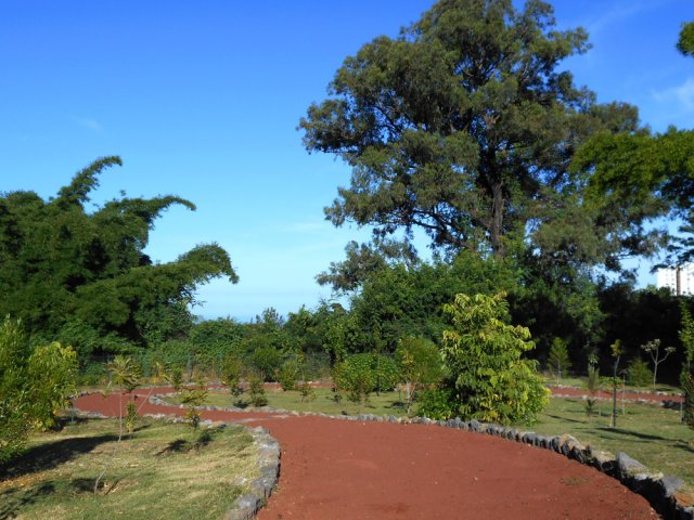 Comme au parcours santé, les allées sont très sinueuses