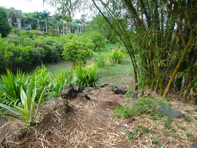 Il est possible de quitter les allées pour emprunter un sentier plus discret le long de la clôture
