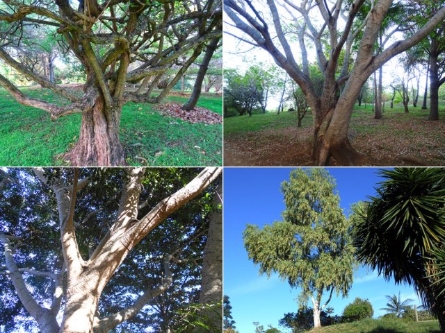 On rencontre partout de beaux spécimens