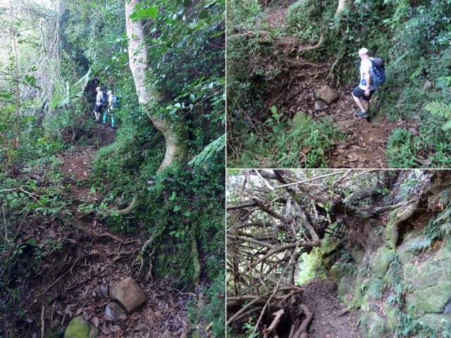 Le circuit n'est jamais plat