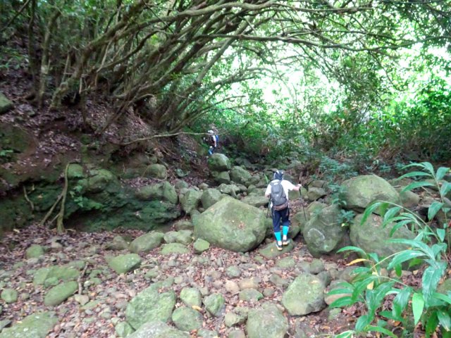 Il faut traverser plus haut un affluent à sec de la Ravine des Cafres