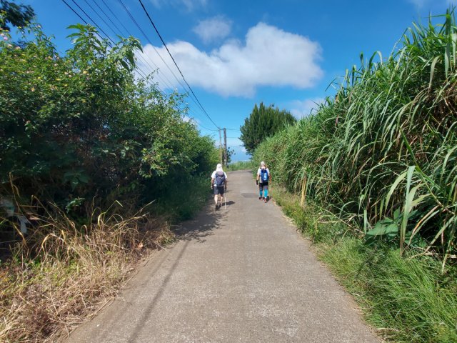 Faible descente par la route bétonnée