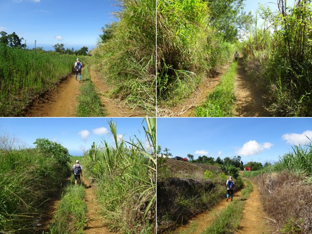 Une belle portion de piste permet d'éviter la route