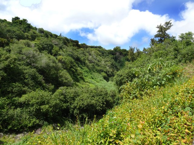 On longe la Ravine des Cafres en marchant sur la RD3