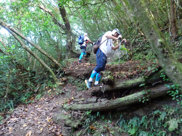 Quelques lacets facilitent les fortes montées