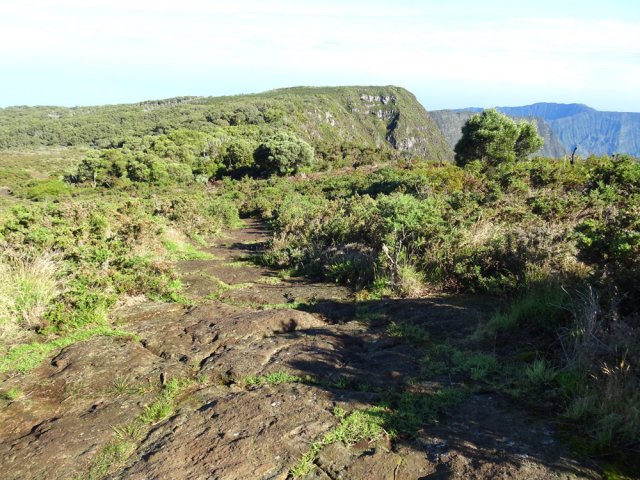 La montée vers le Maïdo s'effectue sur de larges plaques de basalte