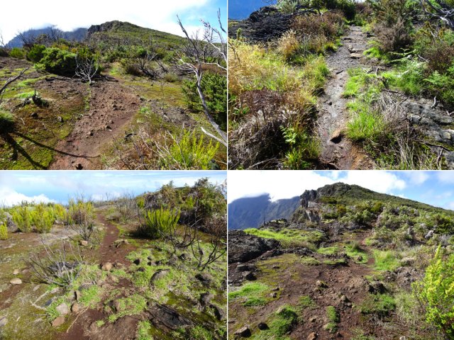 Le sentier, moins connu, est très facile à suivre