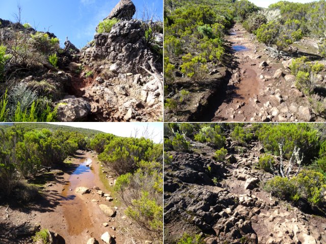 Tous les types de sentiers remontent vers le Grand Bénare