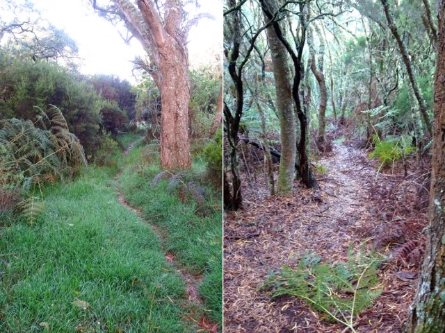 Les raccourcis évitent de marcher sur la route